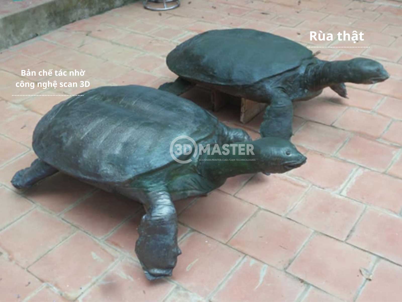 Ứng dụng scan 3D thiết kế ngược mẫu rùa hóa thạch đặt tại Kim Bôi, Hòa Bình