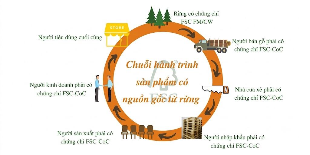 Giấy chứng nhận FSC là tiêu chuẩn quốc tế về quản lý rừng có trách nhiệm. 