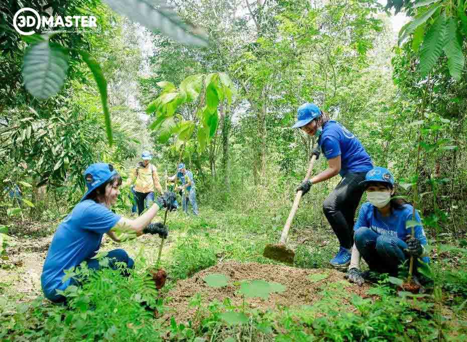 công tác trồng rừng tăng tín chỉ carbon 