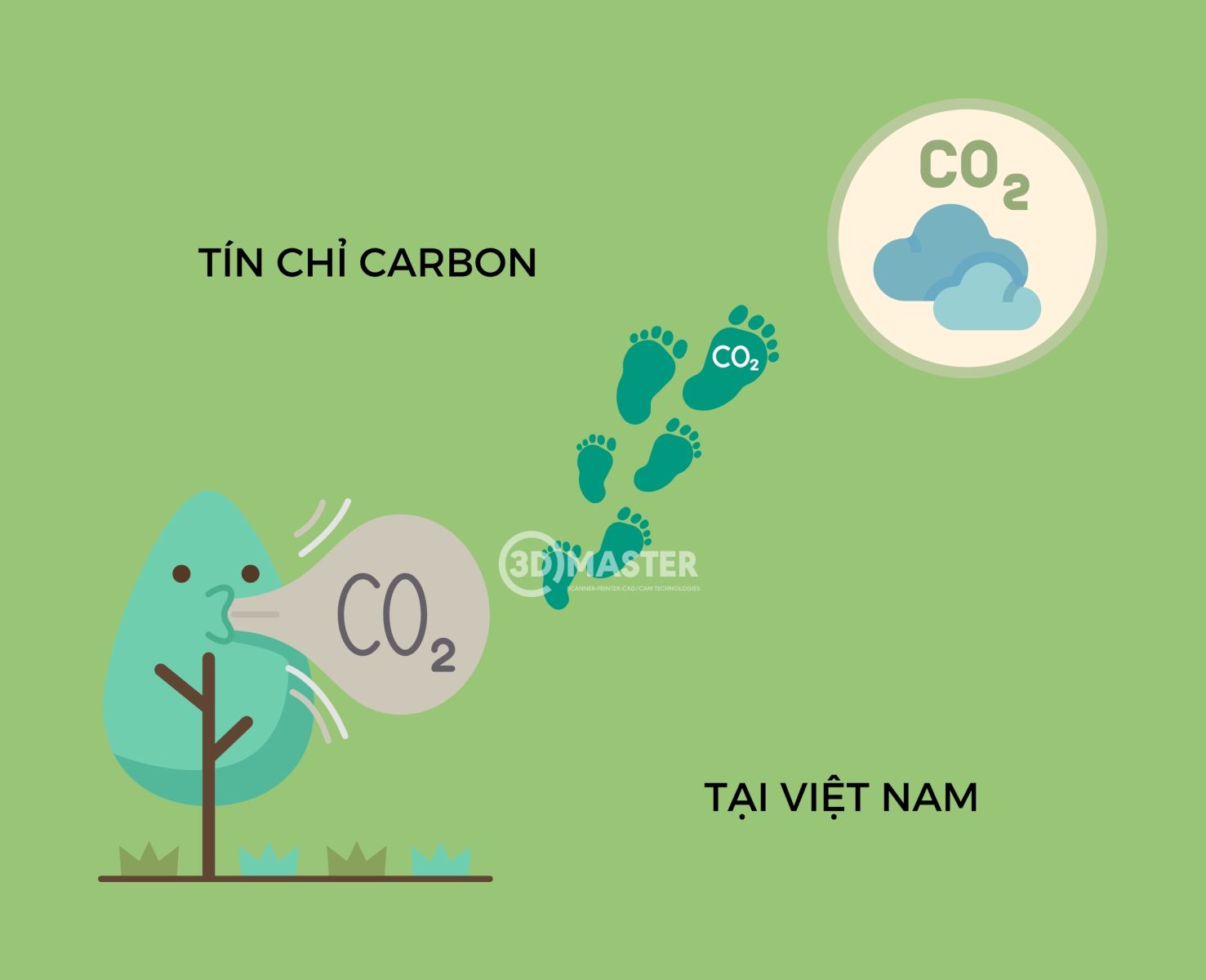 Tình hình tín chỉ carbon tại Việt Nam