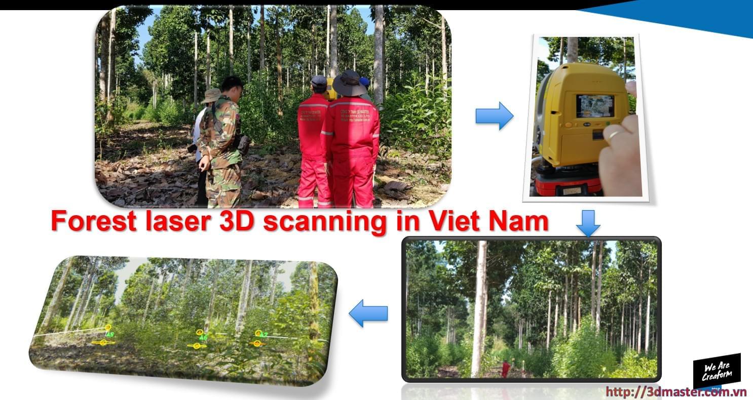scan 3d rừng việt nam