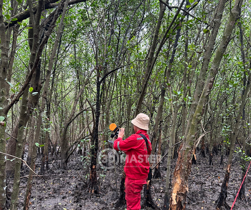  3D MASTER SCAN - Immerse Yourself in the Natural Beauty of Can Gio Mangrove Forest with Advanced 3D Scanning Technology