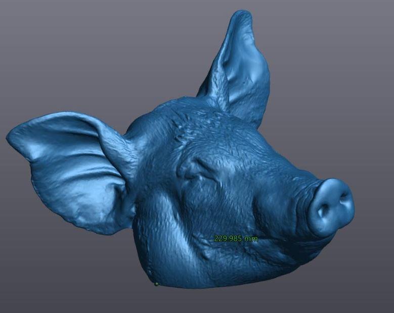Dự án Scan 3D thủ lợn thật chế tạo khuôn bơm nhựa PVC,