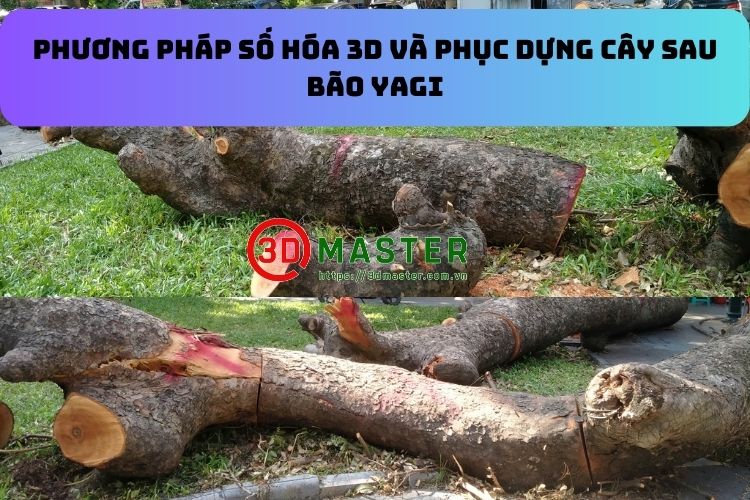 Phương pháp số hóa 3D và phục dựng cây sau bão Yagi