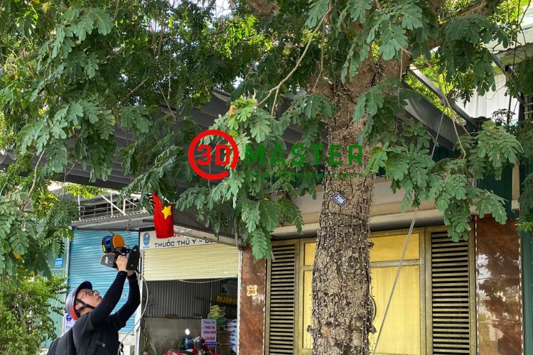 3D Master Calculate Carbon Credits Green Trees On Ha Tinh Street