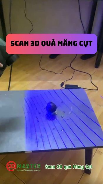 Scan 3D quả măng cụt