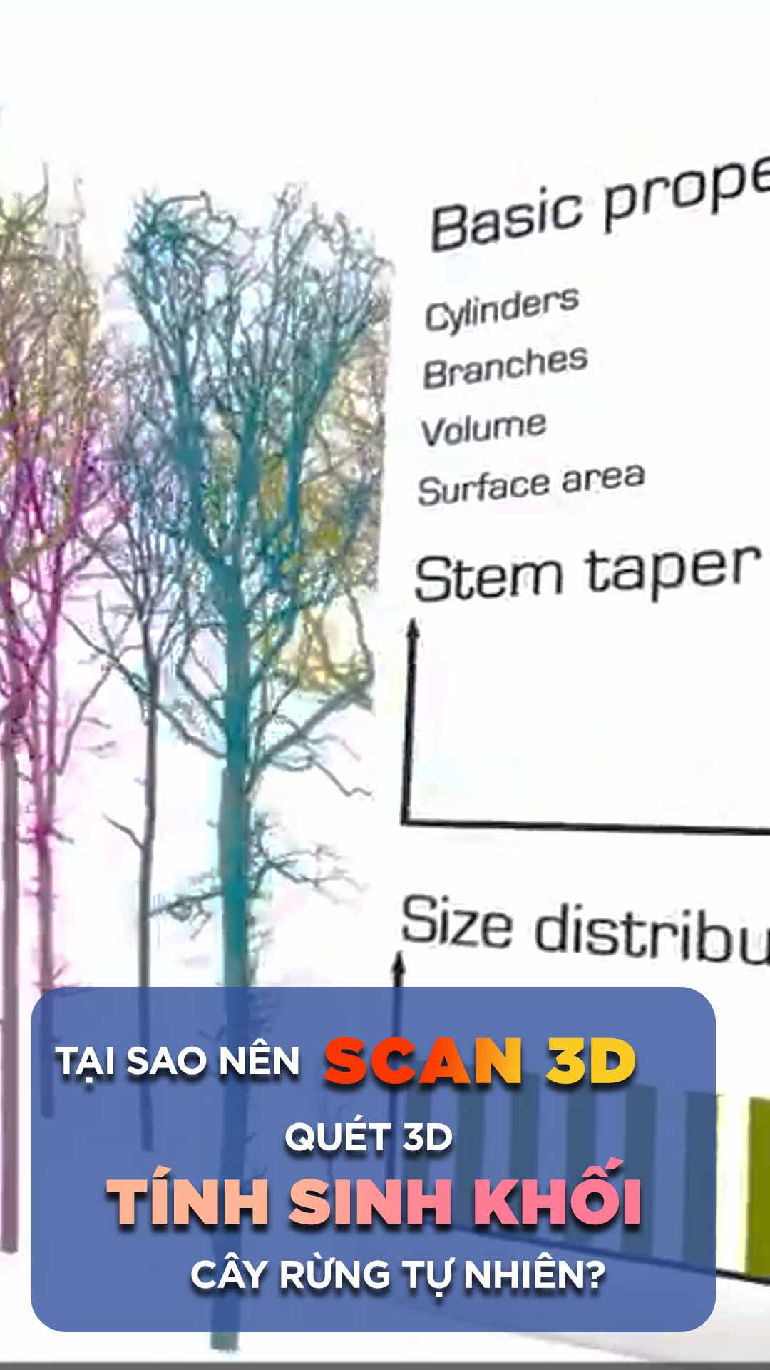 Tại sao nên sử dụng Scan 3D tính sinh khối rừng?