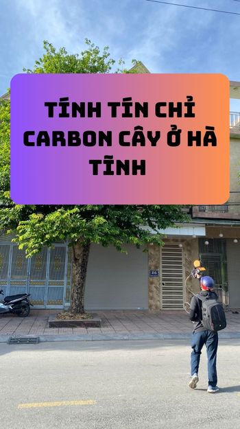 Tính Tín Chỉ Carbon Cây ở Hà Tĩnh 